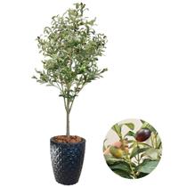 Planta Folhagem Oliveira Artificial Com Vaso Completo Grande Planta Folhagem Oliveira Artificial Com Vaso Completo Grande