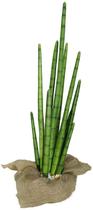 Planta Lança de São Jorge com 10 hastes 81cm artificial