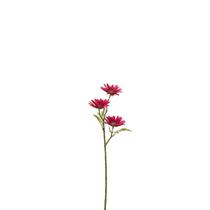 Planta Margarida Fucsia 45X11X11Cm