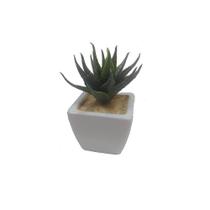Planta Mini Suculentas Artificial Vaso De Cerâmica G - F:3619
