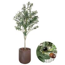 Planta Oliveira Artificial Completo com Vaso Realista 1.70m Planta Oliveira Artificial Completo com Vaso Realista 1.70m