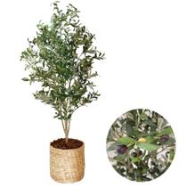 Planta Oliveira Artificial Grande 1,80m Vaso Palha Cesto Planta Oliveira Artificial Grande 1,80m Vaso Palha Cesto