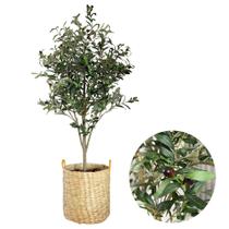 Planta Oliveira Artificial Grande Completa Vaso Palha Cesto Planta Oliveira Artificial Grande Completa Vaso Palha Cesto