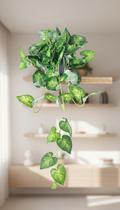 Planta Pendente Decorativa Vaso Cinza 40cm