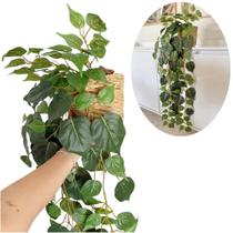 Planta Pendente Figo Com Vaso Palha Casca Completo Ficus