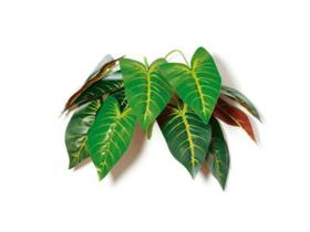 Planta permanente ramos folhagem artificial alocasia