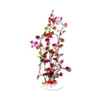 Planta Plástica Para Aquário 30Cm Cod 0881 Planta Plástica Para Aquário 30Cm Cod 0881