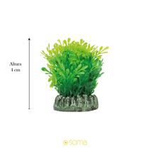 Planta plastica soma base redonda glossostigma 4cm