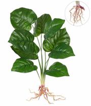 Planta pothos x9 real toque verde - 50958