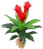 Planta Realista com flores Bromelia 3 flores 80cm Sala Decor Planta Realista com flores Bromelia 3 flores 80cm Sala Decor