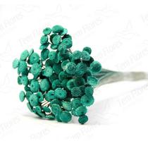 Planta Seca Botão Branco Desidratado Verde Planta Seca Botão Branco Desidratado Verde