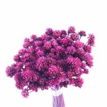 Planta Seca Botão Espeta Nariz Desidratado Pink