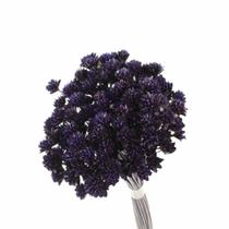 Planta Seca Botão Espeta Nariz Desidratado Roxo