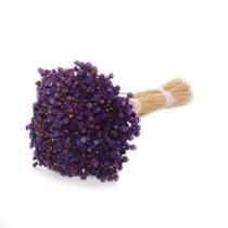 Planta Seca Botão Jazida Desidratado Roxo