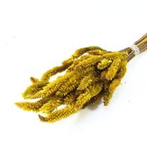 Planta Seca Buque Celosia Amarelo 50cm