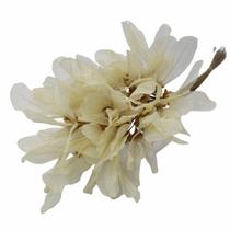 Planta Seca Buquê Flor de Asa de Barata Natural 50cm Planta Seca Buquê Flor de Asa de Barata Natural 50cm