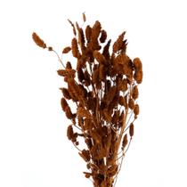 Planta Seca Buque Rabo de Coelho Marrom 50cm