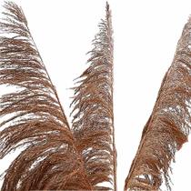 Planta Seca Capim Cana Brava 120 cm