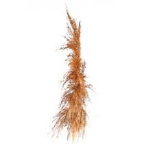 Planta Seca Capim dos Pampas Bege 90cm Planta Seca Capim dos Pampas Bege 90cm