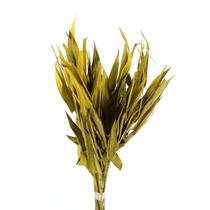 Planta Seca Capim Navalha Amarelo 55cm