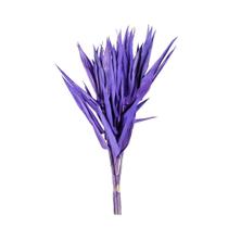 Planta Seca Capim Navalha Lilás 55cm