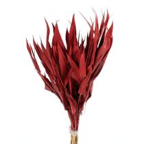 Planta Seca Capim Navalha Vermelho 55cm