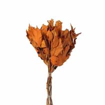 Planta Seca Carne de Vaca Laranja 50cm