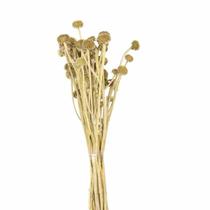 Planta Seca Chapeu de material sintético 50cm Planta Seca Chapeu de material sintético 50cm