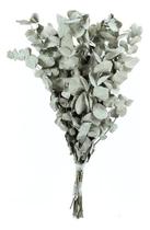 Planta Seca Eucalipto Verde 50cm