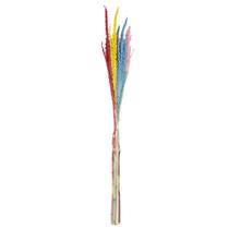 Planta Seca Flor de Milho Arco-íris 60 cm