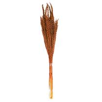 Planta Seca Flor de Milho Laranja 60 cm