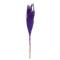 Planta Seca Flor de Milho Roxa 60 cm