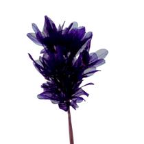 Planta Seca Folha Asa de Barata Roxo 50cm Planta Seca Folha Asa de Barata Roxo 50cm