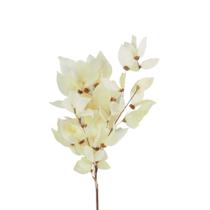 Planta Seca Folha Cabo Verde Alvejada 50cm