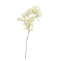 Planta Seca Folha Cabo Verde Esquelatizada 50cm