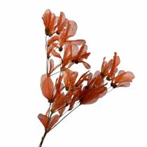 Planta Seca Folha Cabo Verde Esquelatizada Laranja 50cm