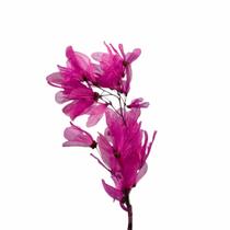 Planta Seca Folha Cabo Verde Esquelatizada Rosa 50cm