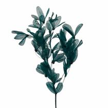 Planta Seca Folha Cabo Verde Esquelatizada Verde 50cm