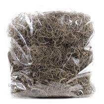 Planta Seca Musgo Barba Verde cm Planta Seca Musgo Barba Verde cm