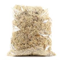 Planta Seca Musgo Branco Verde cm