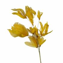 Planta Seca Pimentinha no Espeta Amarelo