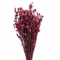 Planta Seca Ramo Roxo Rosa 50cm