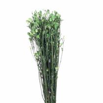 Planta Seca Romo Roxo Verde 50cm