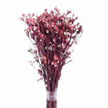 Planta Seca Romo Roxo Vermelho 50cm