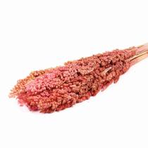 Planta Seca Sorgo Rosa Claro 60cm