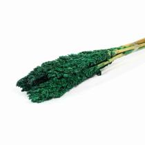 Planta Seca Sorgo Verde 60cm