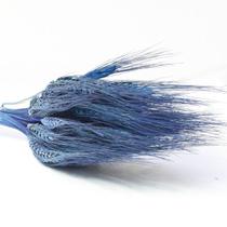 Planta Seca Trigo Colorido Azul