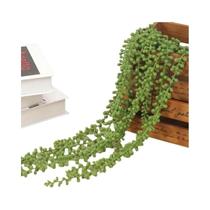 Planta Suculenta Artificial De Rattan Lover Tears, Flor Falsa De Plástico Com Pendente