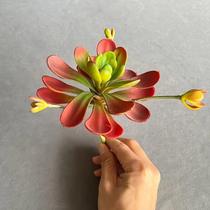 Planta Suculenta Artificial Realista Para Decoração De Varanda Interna E Paisagismo Residencial