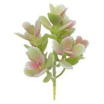 Planta Suculenta Artificial Verde Tipo Carnívora Decoração - QX Flores